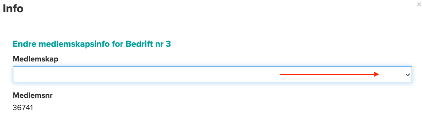 Skjermbilde 2025-07-08 kl. 14.28.48.png