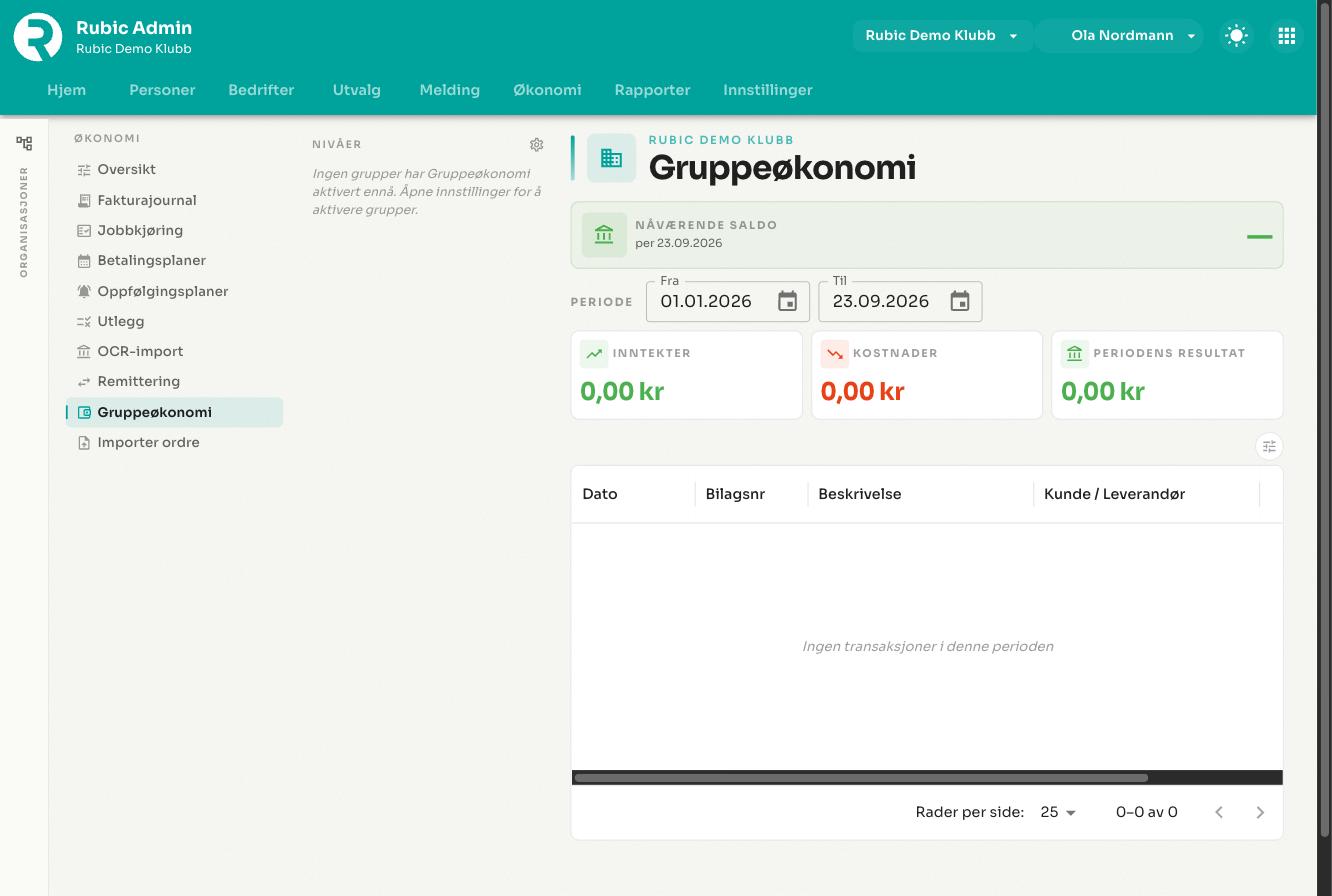 Gruppeøkonomi med saldo, inntekter og kostnader