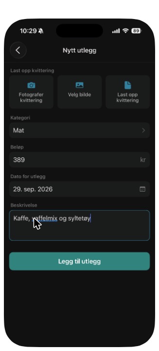 Skjemaet for et nytt utlegg
