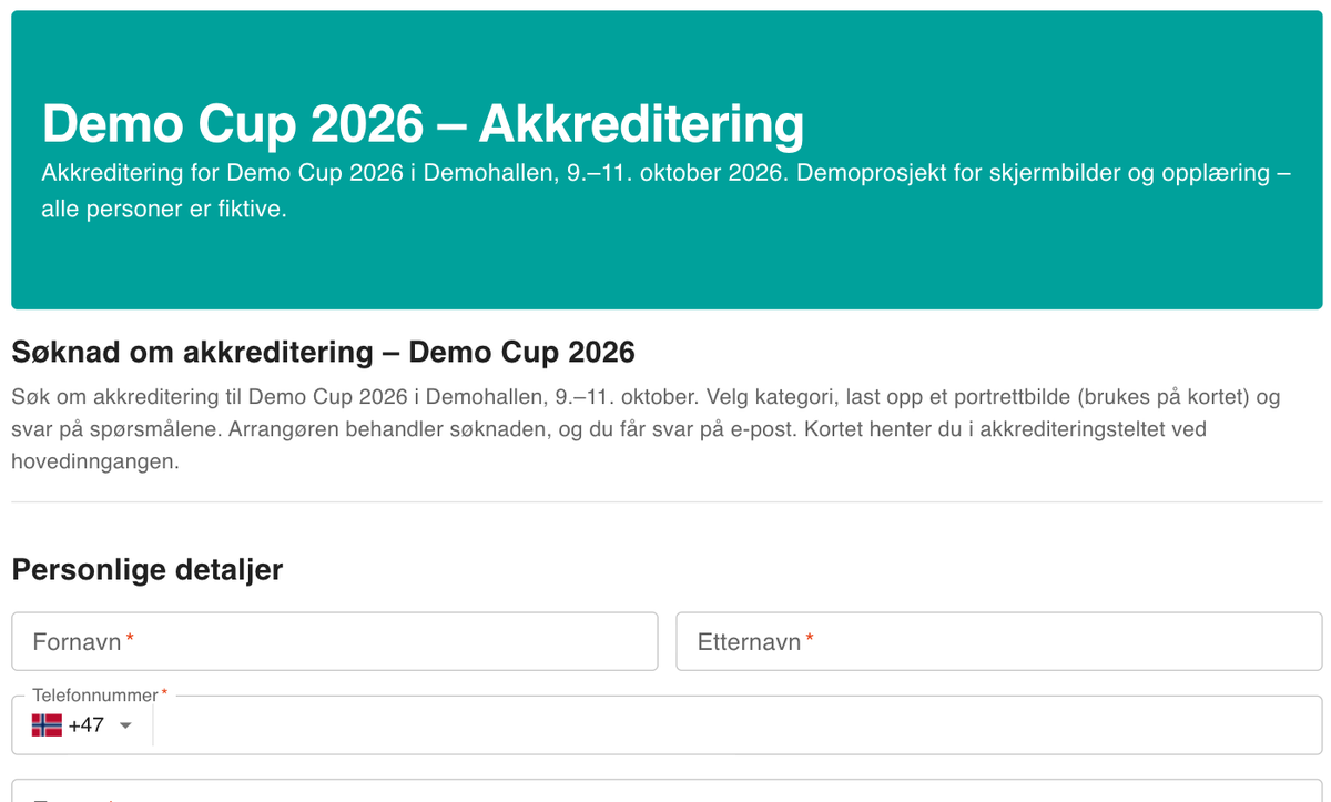 Søknadsskjemaet slik søkeren ser det